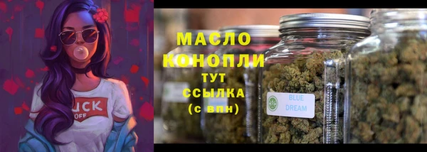 стаф Богородицк