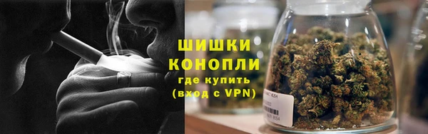 mdpv Богданович