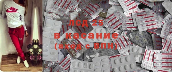 стаф Богородицк