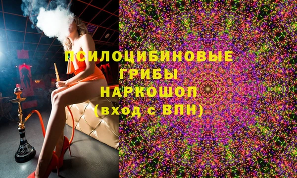 индика Покровск
