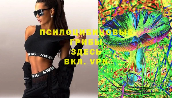 mdpv Богданович