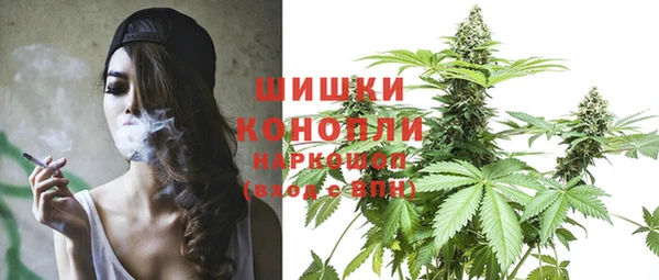 mdpv Богданович